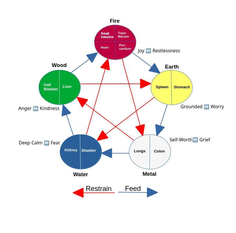 Five Elements of Traditional Chinese Medicine